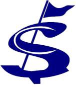 Blue stylized dollar sign with a flag, representing finance or funding themes for MFA Regional Workshops.