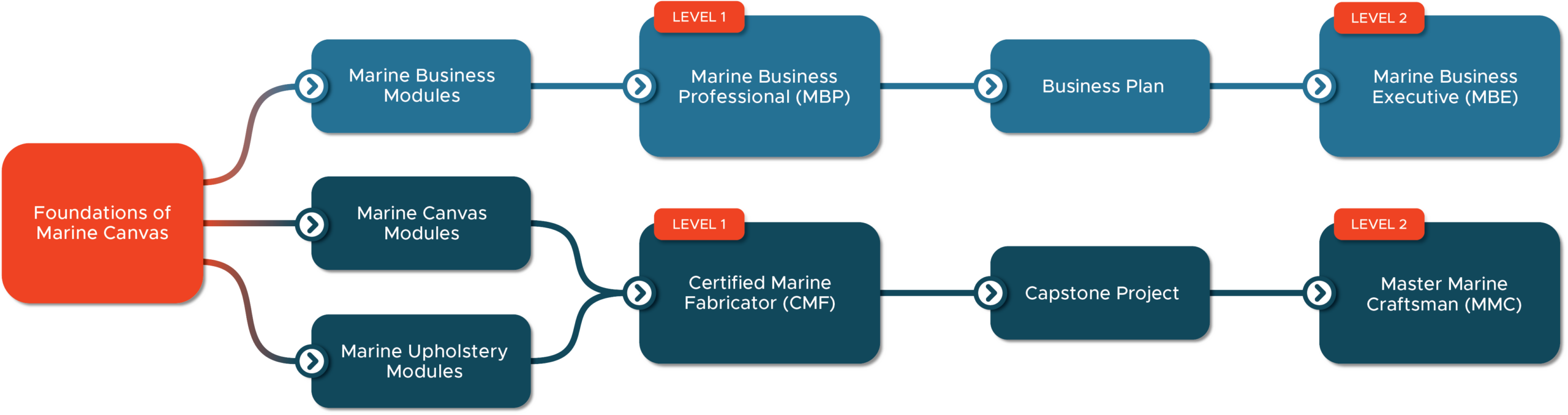 Flowchart outlining a certification program with two main branches: Marine Business and Marine Canvas, plus paths to various professional levels.